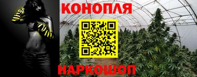 прущий лед Будённовск